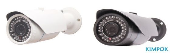 Ir-Schnitt-Filter-Kugel-Überwachungskamera Überwachungskamera H.264 hohe Megapixel