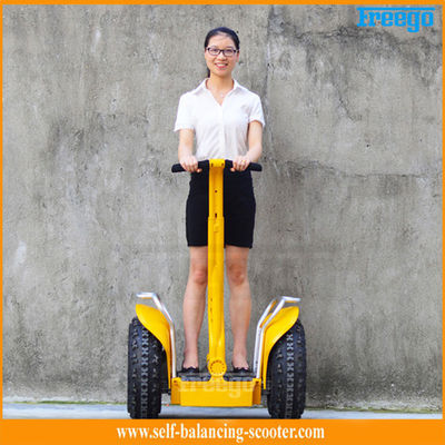 Beleuchteter Rad-Reise-Mobilitäts-Roller-Lithium-Batterie-schwanzloser Motor
